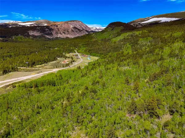 270 Co Rd 667, Alma, CO 80420