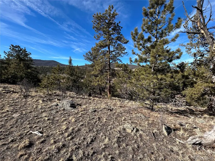 3430 Singletree Road, Hartsel, CO 80449 - Image #2