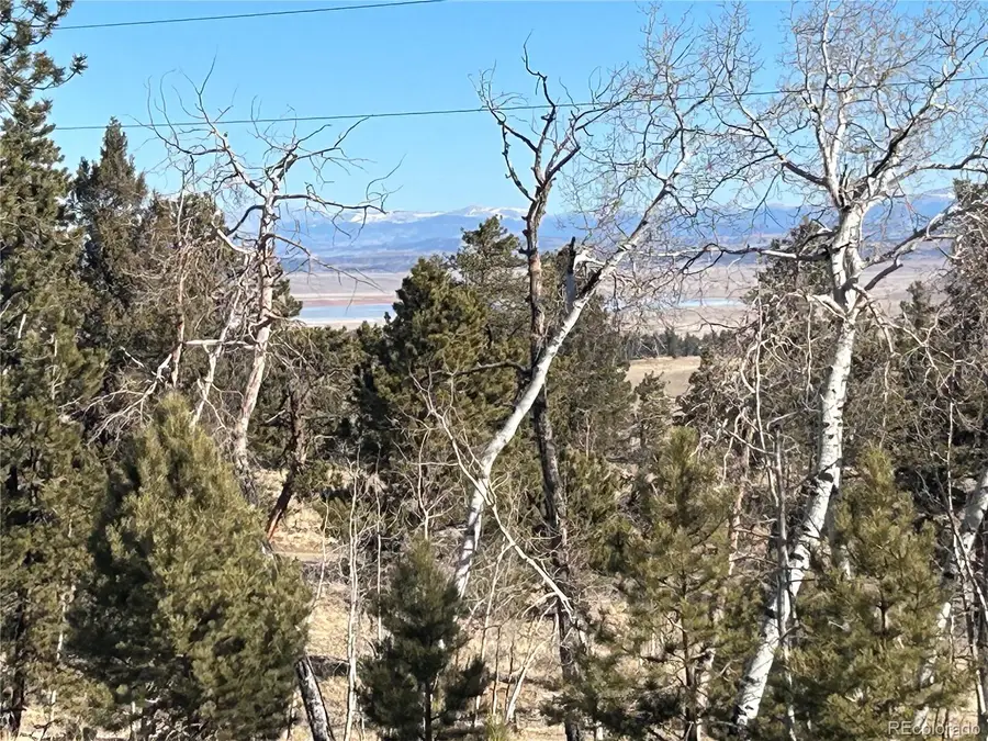 3430 Singletree Road, Hartsel, CO 80449 - Image #3