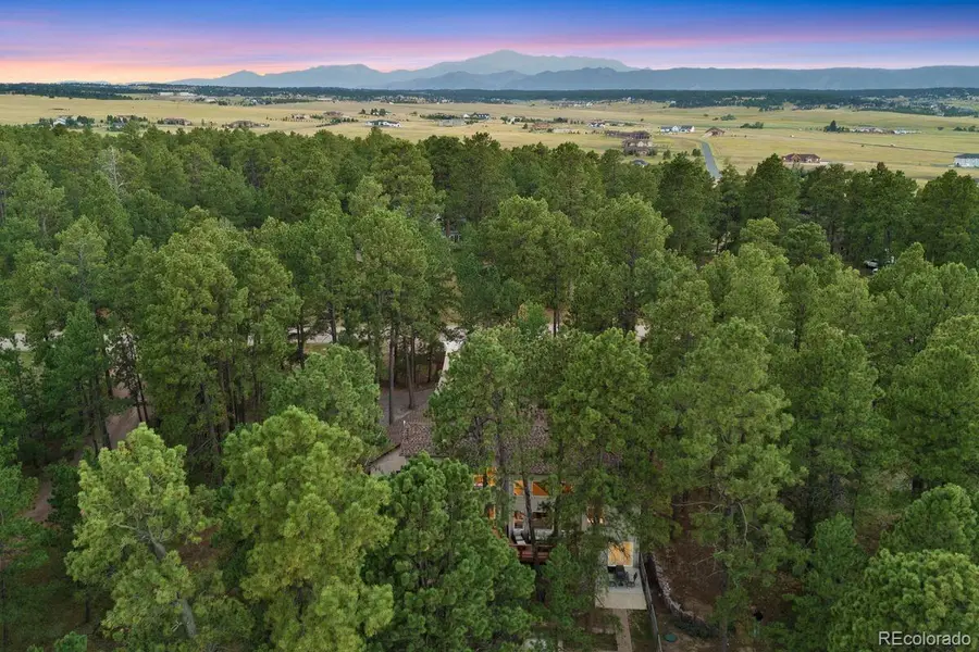 19825 Soaring Wing Drive, Colorado Springs, CO 80908 - #2