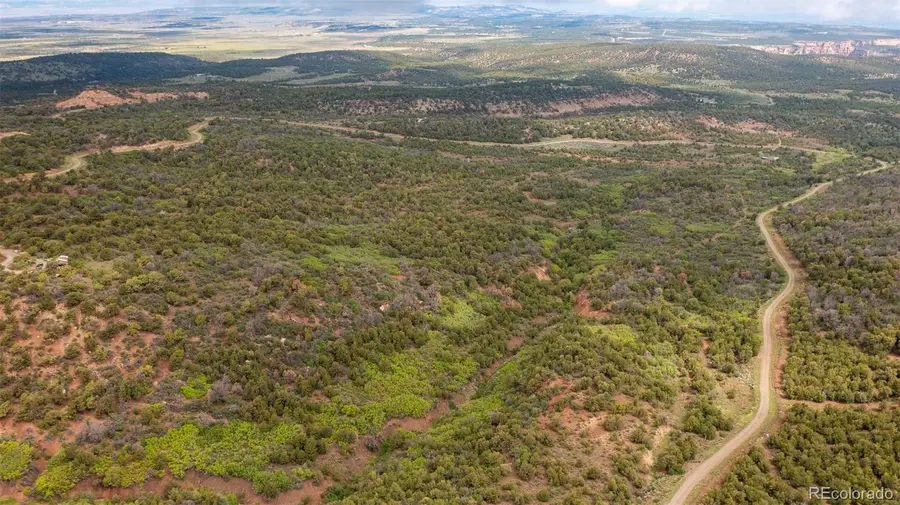 18975 Elk Reserve Road, Glade Park, CO 81523 - Image #3