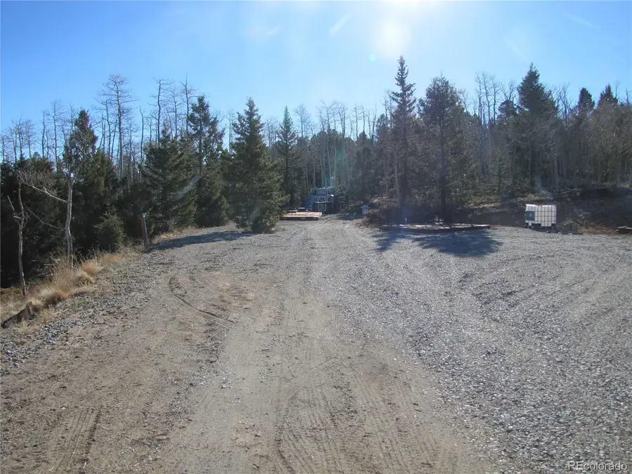 8165 Ranch Road, Hartsel, CO 80449 - #3