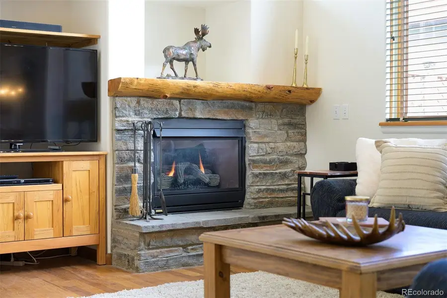 787 Mulligan #5, Fraser, CO 80442 - #2