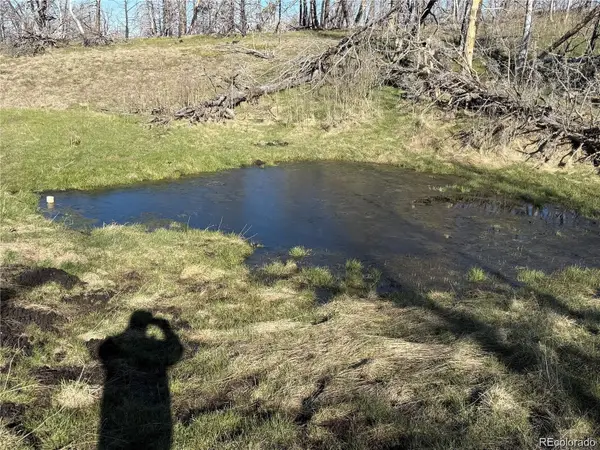 Lot 416 Spangle, Fort Garland, CO 81133