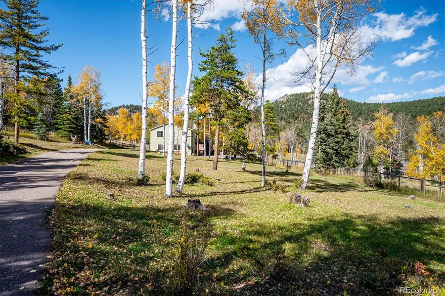 12369 Quartz Spur, Conifer, CO 80433 - Image #3