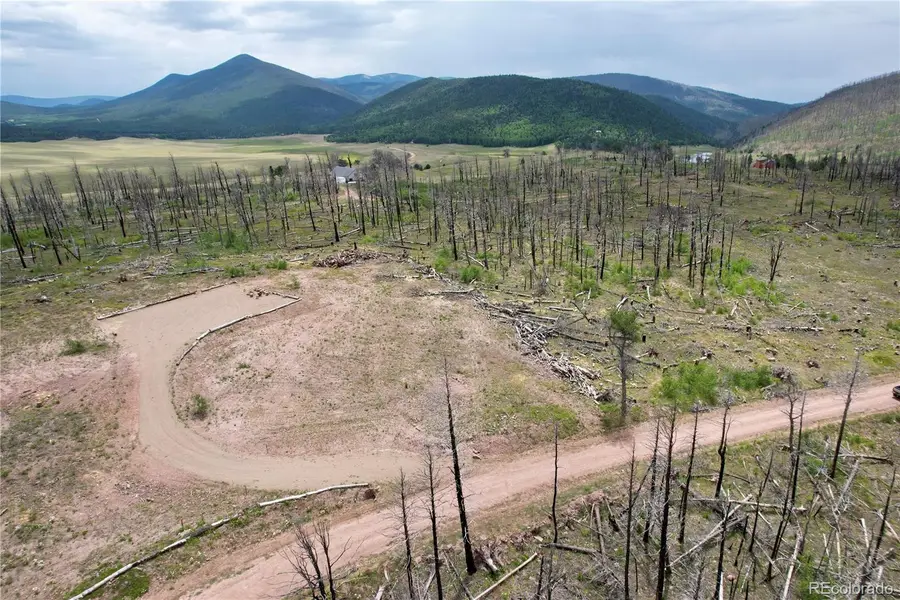 2198 Sigler Drive, Fort Garland, CO 81133 - #2