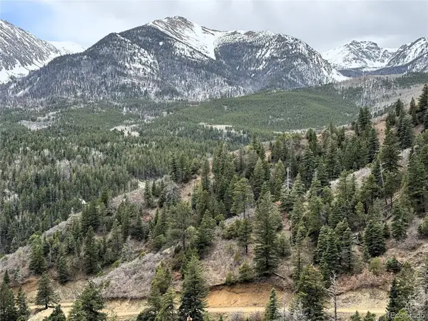 Lot 63 Knotty Pine Road, Howard, CO 81233