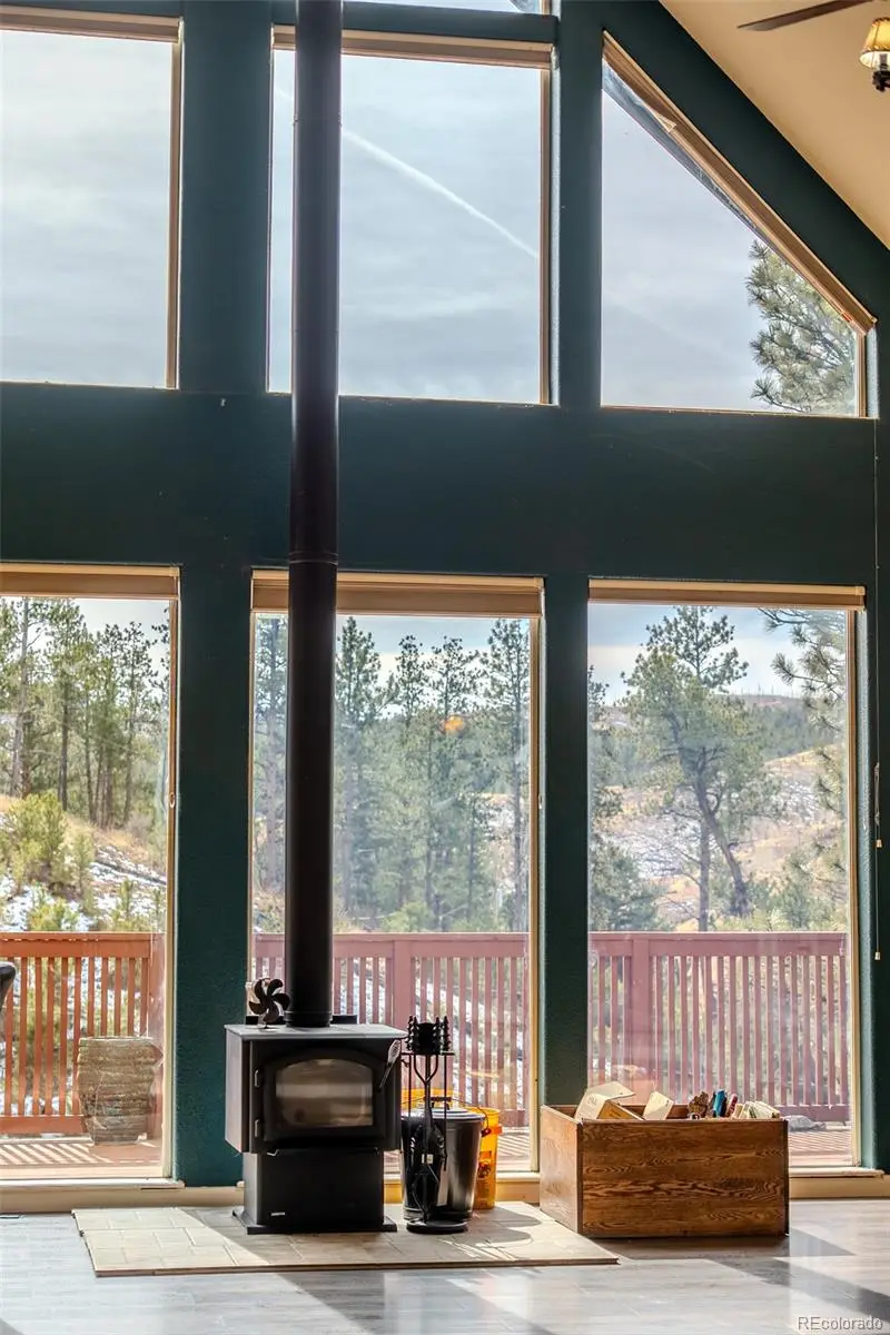 14891 Evergreen Place, Woodland Park, CO 80863 - #3