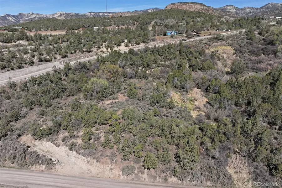 58450 Buzzard Creek Road, Collbran, CO 81624 - #3