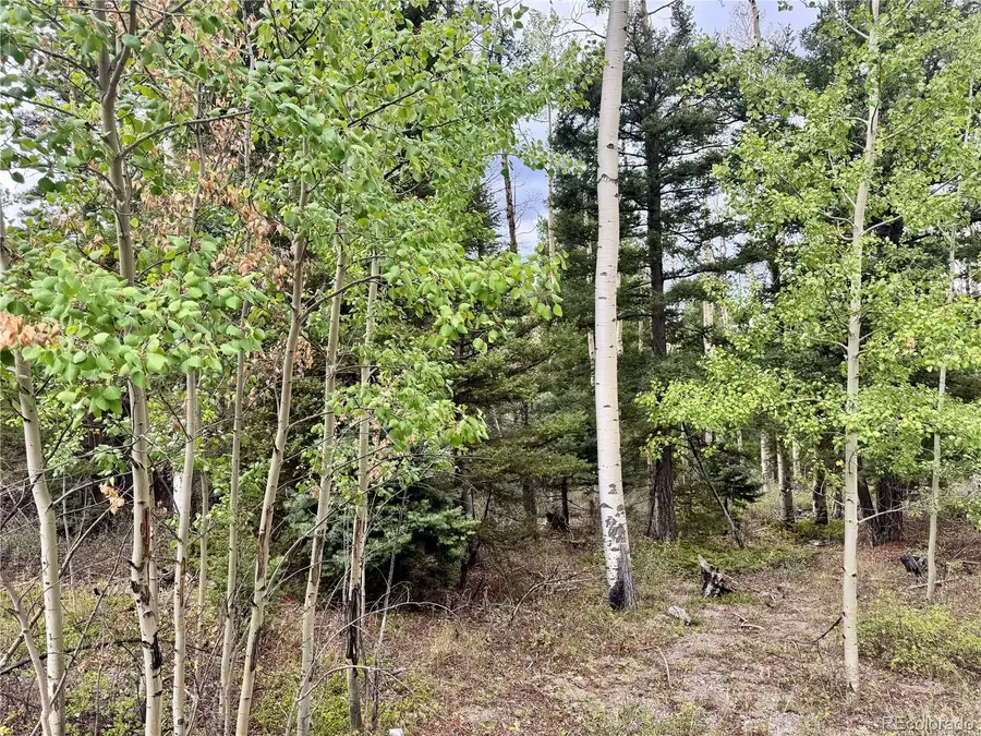 Lot 2746 Pritchard, Fort Garland, CO 81133 - #2