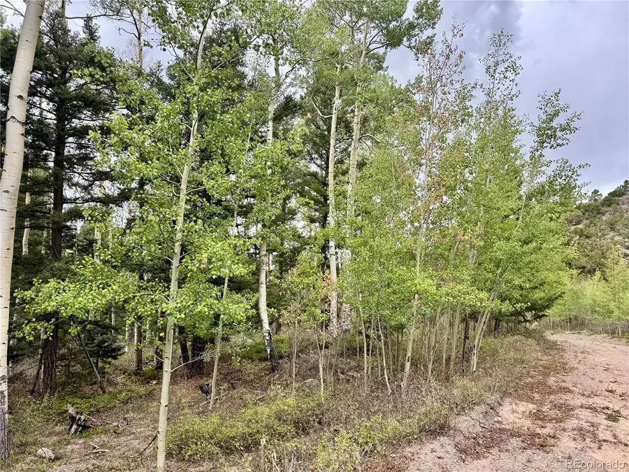 Lot 2746 Pritchard, Fort Garland, CO 81133 - #3