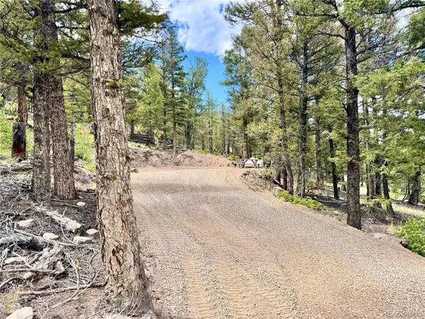 2843 Redhill Road, Fairplay, CO 80440