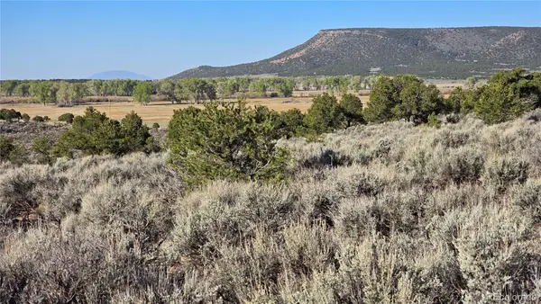 Lot 3714 Hartgrave Road, Fort Garland, CO 81133