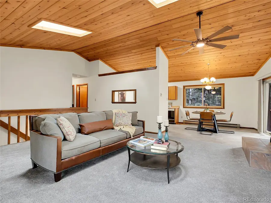 224 Yellow Pine Drive, Bailey, CO 80421 - Image #3