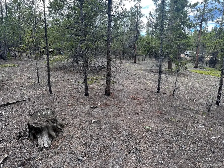 284 Fir Drive, Twin Lakes, CO 80461 - Image #2