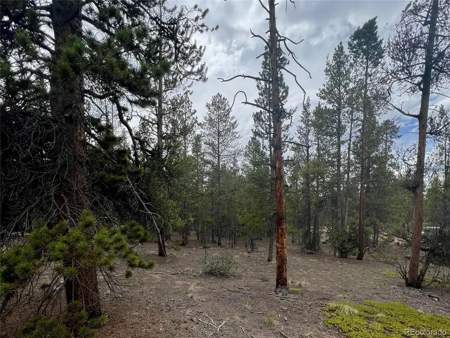 284 Fir Drive, Twin Lakes, CO 80461 - Image #3