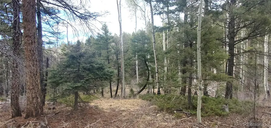 Lot 6090 Vreeland Road, San Luis, CO 81152 - #2