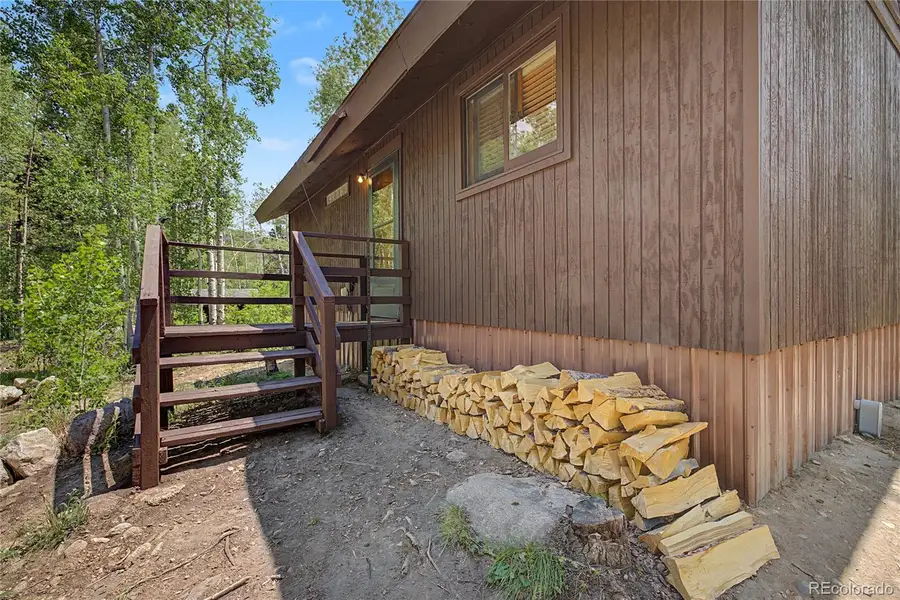 2602 Empire Valley Drive, Leadville, CO 80461 - #3