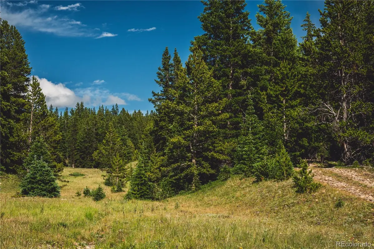 5347 Monitor, Leadville, CO 80461 - #1