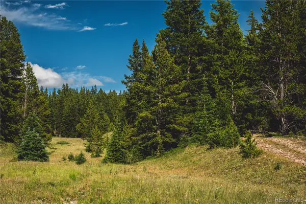 5347 Monitor, Leadville, CO 80461