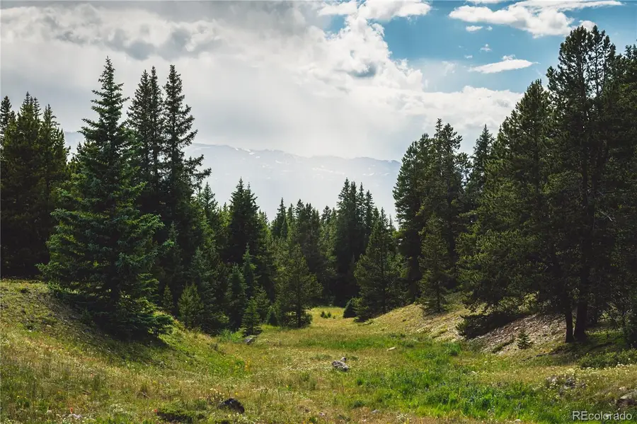 5347 Monitor, Leadville, CO 80461 - #3