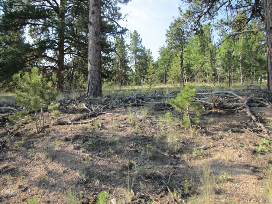 9736 Ranch Road, Hartsel, CO 80449 - Image #2