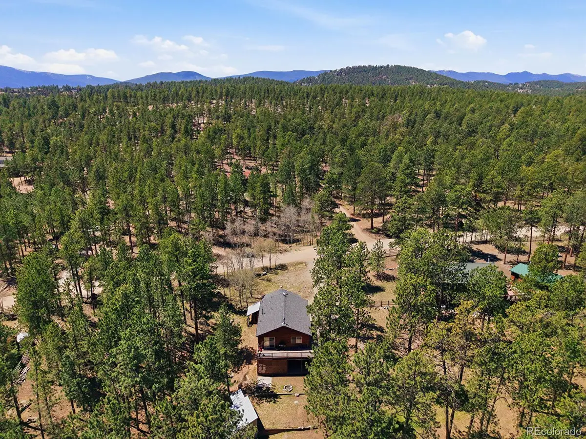 234 Impala Trail, Bailey, CO 80421 - #1