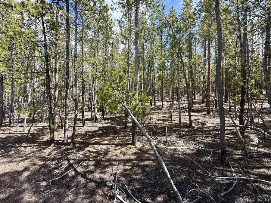 1127 Sequoia Drive, Twin Lakes, CO 80461 - Image #2