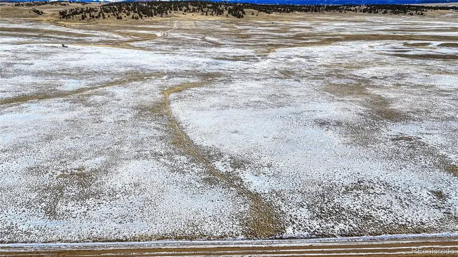 4332 Goldenburg Canyon Road, Hartsel, CO 80449 - Image #3