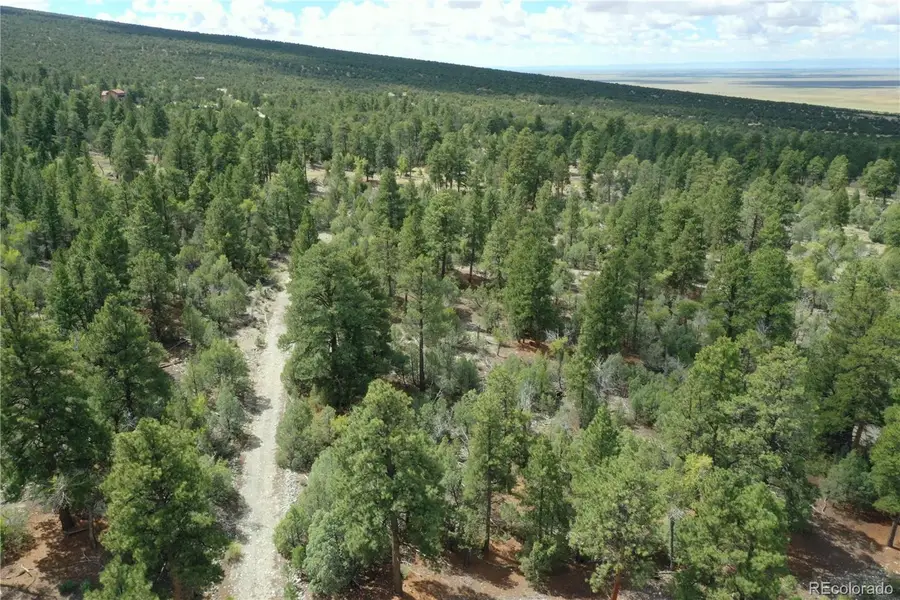 Big Bear Road, Mosca, CO 81146 - #2