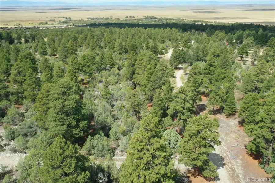 Big Bear Road, Mosca, CO 81146 - #3