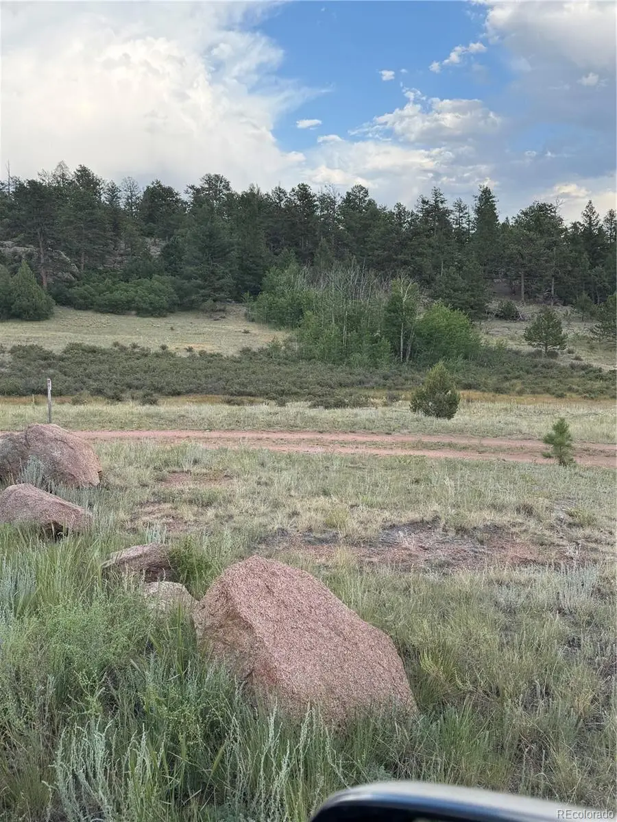 204 Pike View, Florissant, CO 80816 - #1