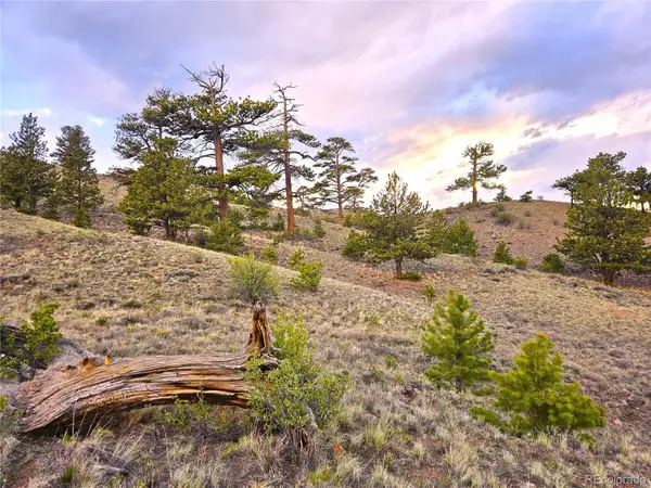 PCS#25427 Yuma Road, Hartsel, CO 80449