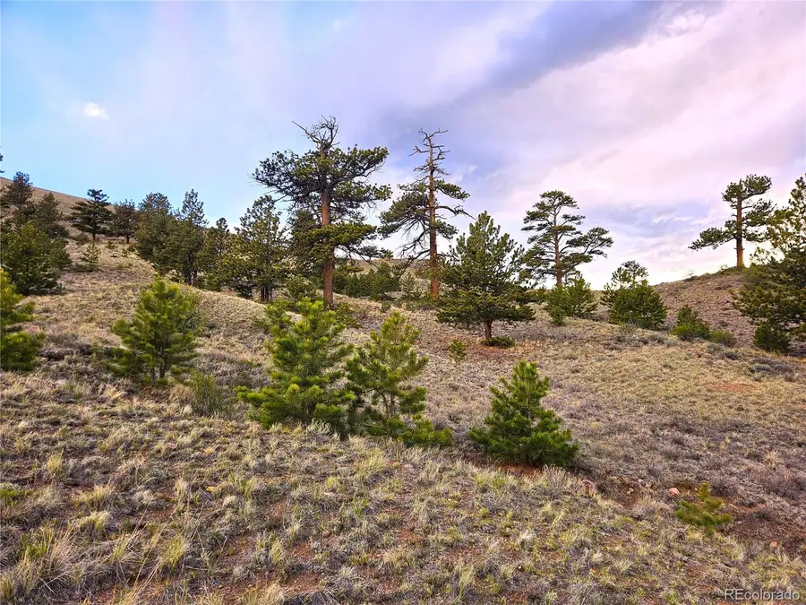 PCS#25427 Yuma Road, Hartsel, CO 80449 - #2