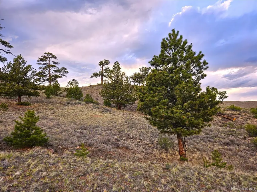 PCS#25427 Yuma Road, Hartsel, CO 80449 - #3