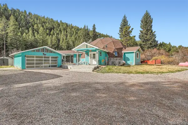 55 Iron Horse Lane, Bailey, CO 80421