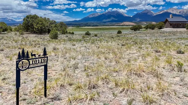 10119 Rawhide Creek Road, Nathrop, CO 81236