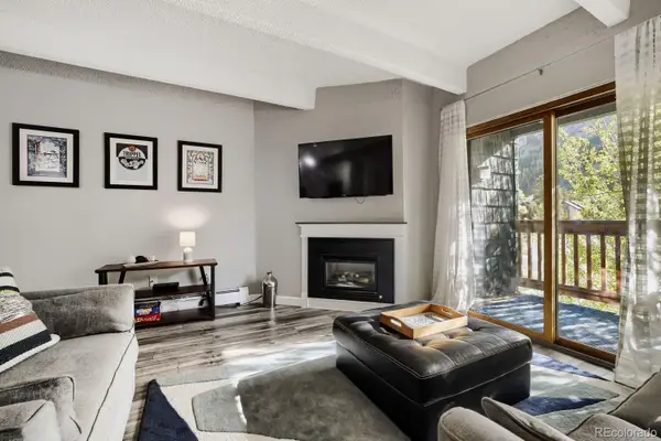 200 Granite Street #318, Frisco, CO 80443