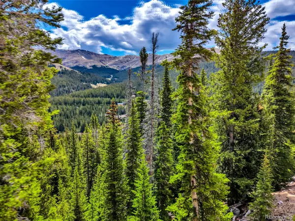 105 & 71 Quandary View Ln, Breckenridge, CO 80424