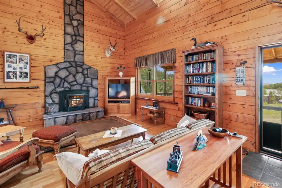 133 Vail Drive, Florissant, CO 80816 - #3