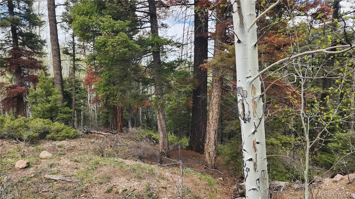 6338 Aragon Road, San Luis, CO 81152 - Image #1