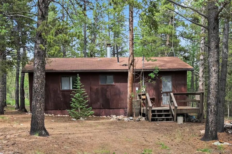 64 Ski Doo Road, Fairplay, CO 80440 - #3
