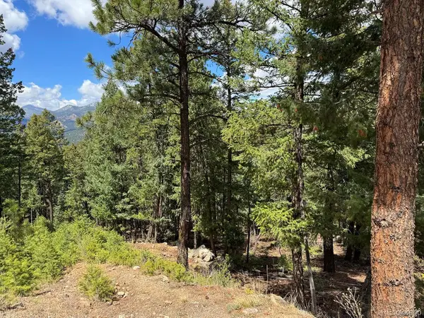 Liberty Drive, Evergreen, CO 80439