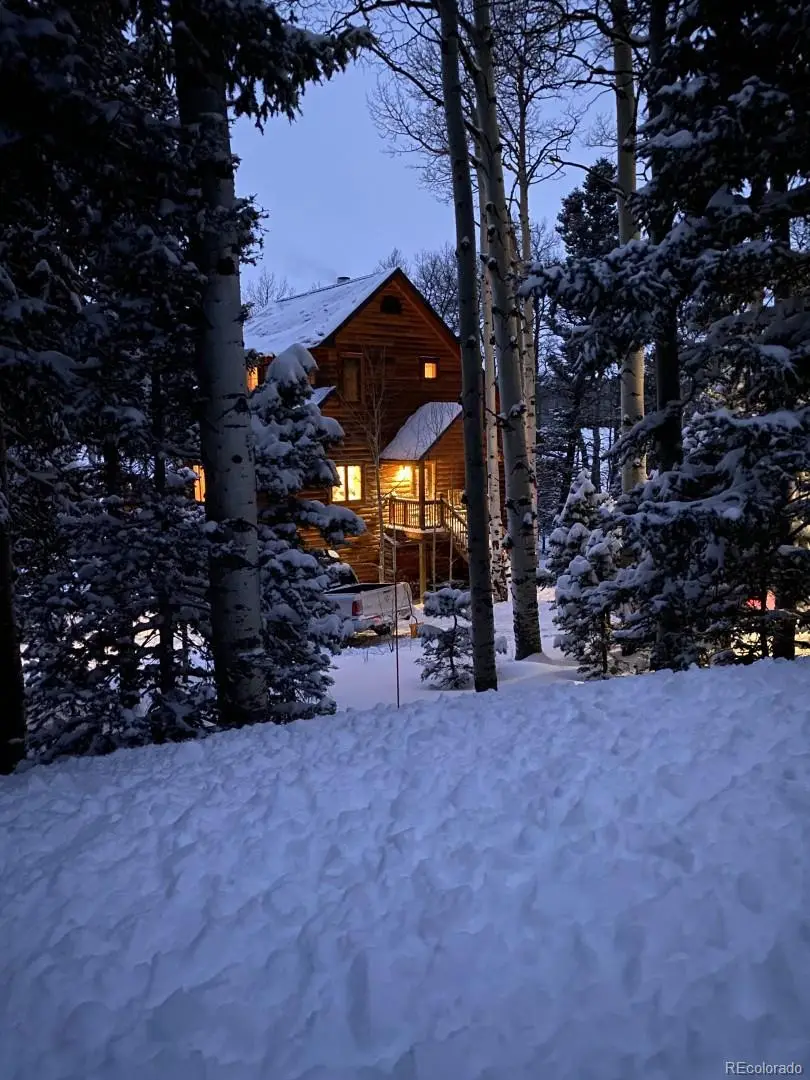 2842 Wendt Lane, Fort Garland, CO 81133 - Image #3