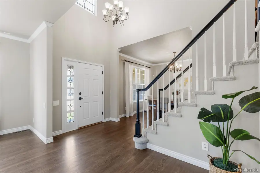 7099 Cerney Circle, Castle Pines, CO 80108 - #3