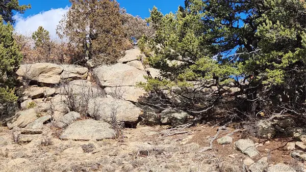 47 White Cloud Drive, Cotopaxi, CO 81223