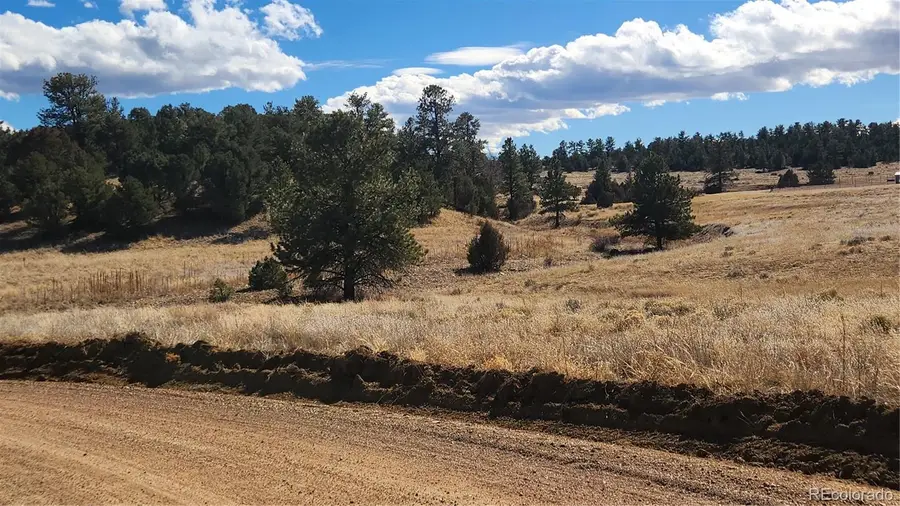 47 White Cloud Drive, Cotopaxi, CO 81223 - #3