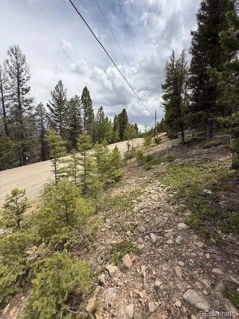 2689 Redhill Road, Fairplay, CO 80440 - Image #2