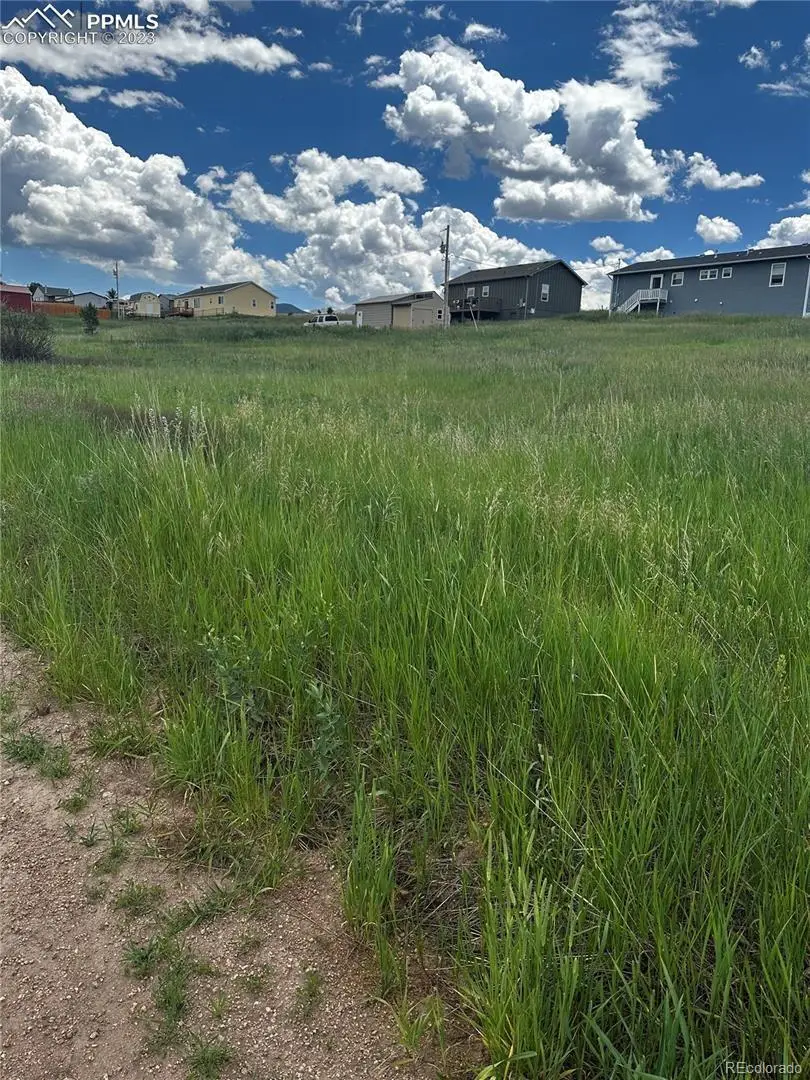 1298 Will Scarlet Drive, Divide, CO 80814 - Image #2