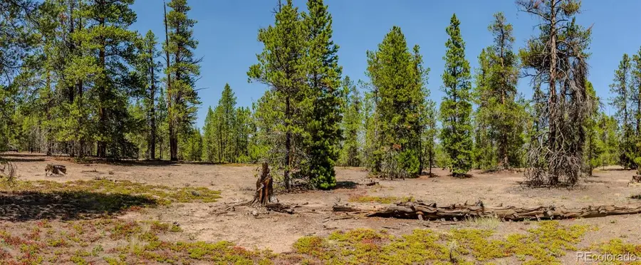 124 Fir Drive, Twin Lakes, CO 81251 - #3